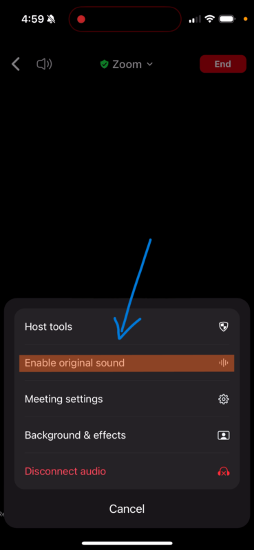 While in meeting. Tap more and then tap enable original sound.